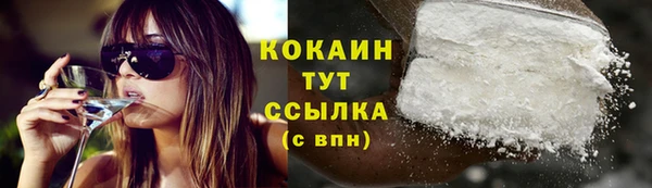 соль ск Тайга