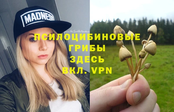 кокс Инта