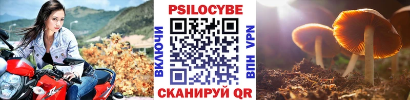 omg вход  цены наркотик  Ачинск  Галлюциногенные грибы MAGIC MUSHROOMS 